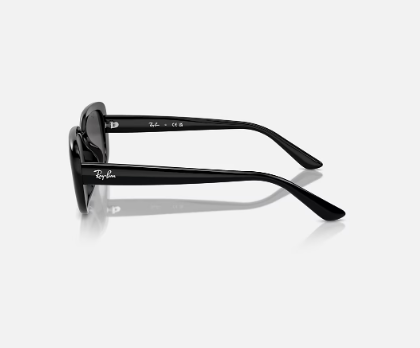 RAYBAN - RB4421D BIO-BASED