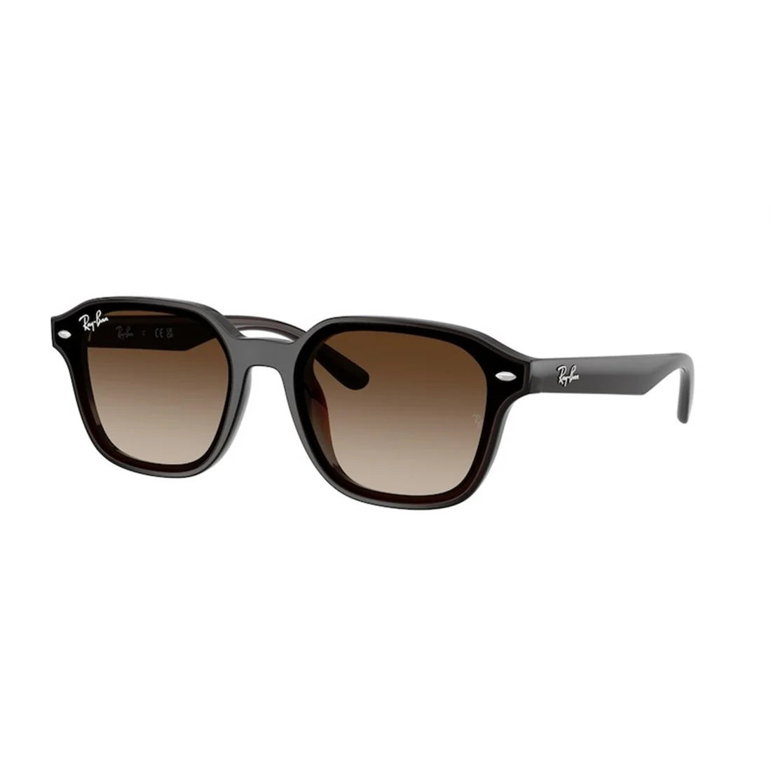 RAYBAN - RB4458D